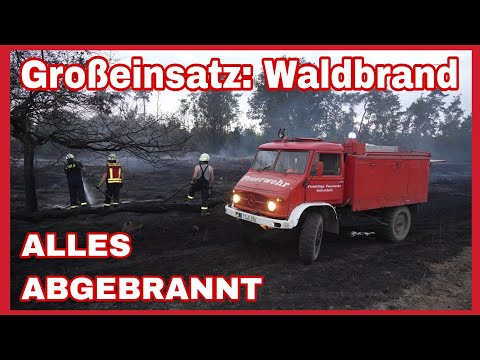 ⚠️WALDBRAND im Landkreis Leipzig an der Grenze zu Nordsachsen🆘️🚒Rund 20 Hektar abgebrannt🔥FEUER🔥