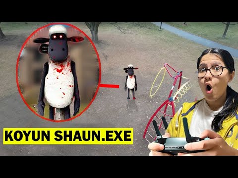 KOYUN SHAUN.EXE OYUN PARKINDA DRONE KAMERALARINA YAKALANDI !! (Görürseniz Hemen Kaçın)