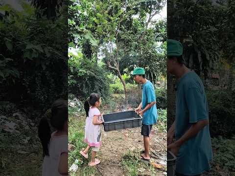 belajar renang sama ayam