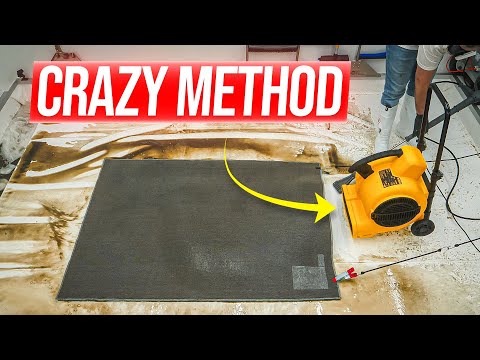 You’ve NEVER Seen a Rug Cleaned Like THIS Before! CRAZY Cleaning Method