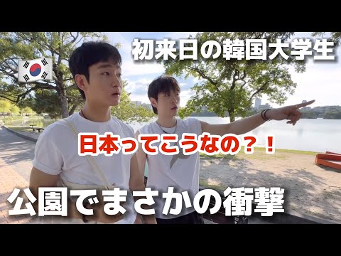 「日本ってこうなの！？」初来日した韓国の大学生が公園を歩いて衝撃！
