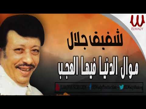 شفيق جلال -- موال الدنيا فيها العجب / Shafiq Galal -  Mawal El Donya Feha El Agab