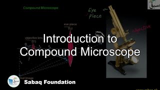 Introduction to Compound Microscope