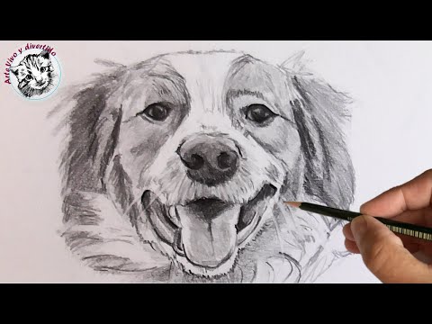 Cómo Dibujar un Perro Realista con Lápiz Paso a Paso | Técnicas de retrato y Trucos de dibujo