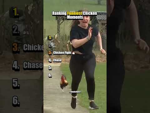 Ranking The Funniest Chicken Moments
