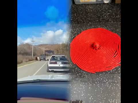 حتى البقر 🌚🏼😂 #تيك_توك #يوتيوب #explore #محمد_و_رامي_موصللي #جيفارا_العلي #موصللي #shortsfeed