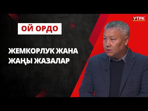 Радик Шабданов: Жемкорлук менен жалган күрөшкөн коомдук уюмдар ооздукталат