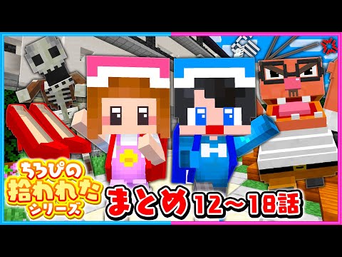 ちろぴのが拾われて学校に行くマイクラ総集編２【 マイクラ / Minecraft  】