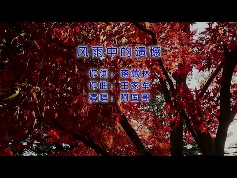 风雨中的遗憾 (粵語版) 阿国哥-演唱 KARAOKE