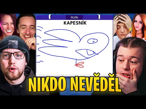 KDO TOHLE MOHL UHÁDNOUT?! - Kreslení se streamery