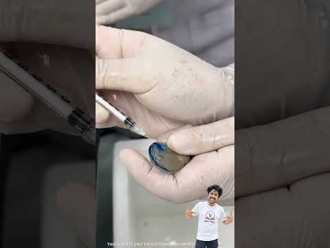 expensive jhinga fish. #experiments #science #scienceexperiments #physics #chemistry #shorts