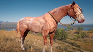 CABALLO DE CARNE | RED DEAD REDEMPTION 2