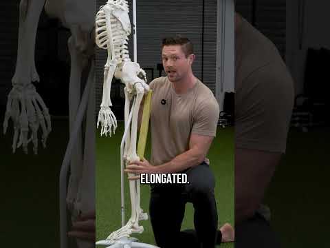 Stop Stretching Your Hamstrings And Do This