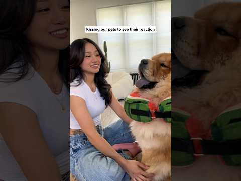 Mom Vs Dad *Our Pet’s Reactions*