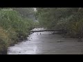 The Great Dismal Swamp: A Historical Exploration