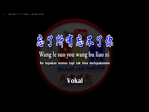 忘了所有忘不了你 – Wang le suo you wang bu liao ni – Male – Vokal – Terjemahan – Pinyin – Lyrics – Lirik