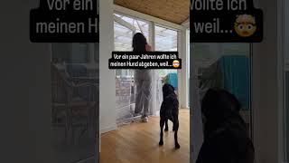 Ich hatte den Gedanken, Seven abzugeben...

Nicht weil ich Seven nicht mehr wollte. Sondern weil ich
