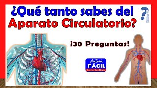 🥇¿QUÉ TANTO SABES DEL SISTEMA CIRCULATORIO? ¡ Test de 30 Preguntas!
