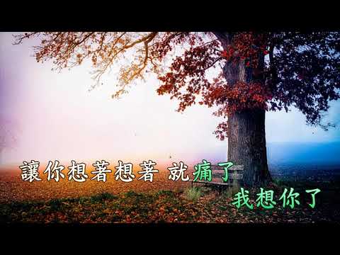 我想你了 (伴奏) 大歡 (Karaoke 純音樂)
