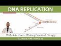 DNA Replication Concepts and Mechanisms