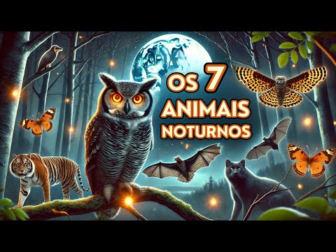 Os 7 Animais Noturnos Mais Fascinantes do Mundo e Seus Segredos!