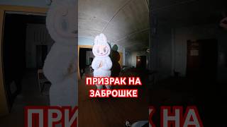 Тут кто нибудь есть ?