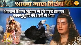 भगवान शिव ने अहंकार में डूबे गरुड़ राज को काकभुशुण्डि की शरण में भेजा | Ramayan | श्रावण मास कथा