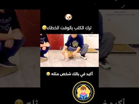 أعظم خيانة بين الكلب وصاحبه 🤣