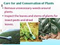 Plant Uses and Care Knowledge