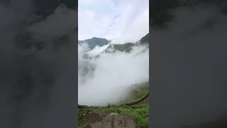 ‏القلب الذي يسكنه القرآن لا يشيب ولا يخيب