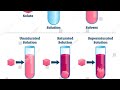 Solubility Terms and Ranges