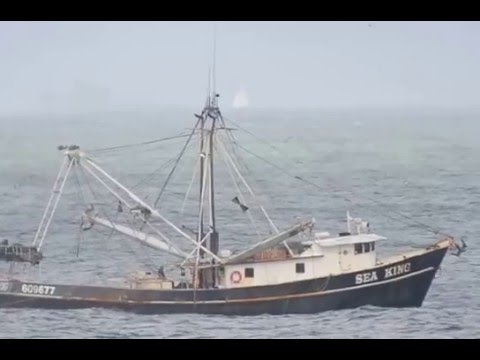 Shrimp Boat For Sale Rockport Tx - 07/2021