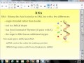 Transcription and Translation Essentials