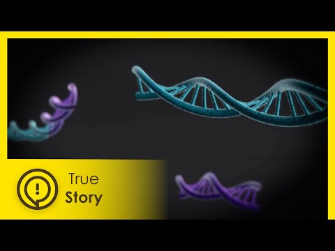 Resurrection Science | Science on the Edge 4/5 | True Story Documentary Channel