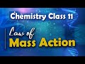 Law of Mass Action Concepts