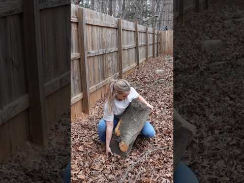 Who’s gonna carry the logs?