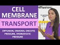 Exploring Cell Membrane Transport Mechanisms