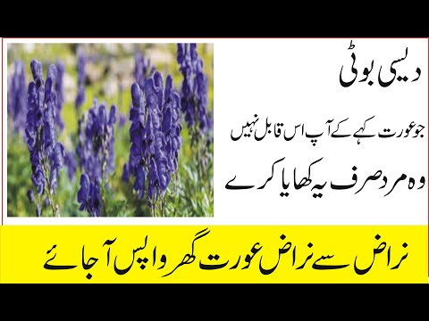 our best tips by hakeem nasir iqbal