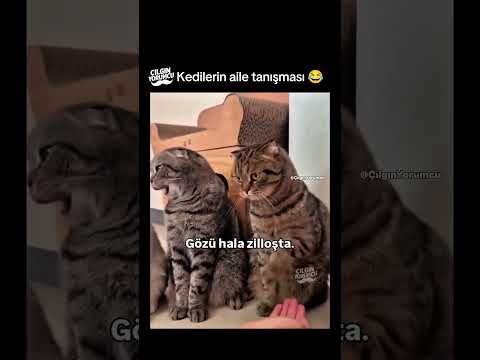 Sondaki dayının kafa bir milyon 😂