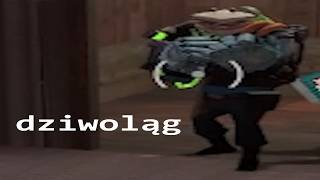 W TF2 Classic grają DZIWOLĄGI