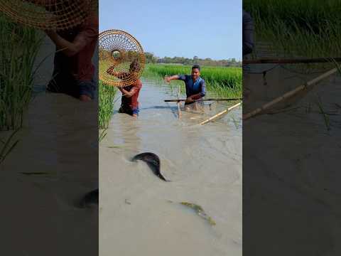 How did you catch such a big boal fish?