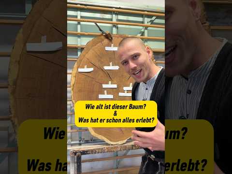 Unglaublich: Ein Baum, der die Weltgeschichte überlebt hat! 🌳⏳ #wood #shorts #baum #handwerk