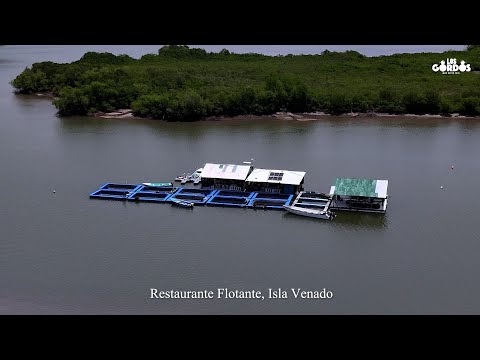 RESTAURANTE FLOTANTE - COSECHANDO CAMARONES Y MARISCOS FRESCOS #LosGordosMonchies