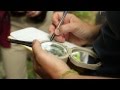 Geology Concepts and Field Mapping