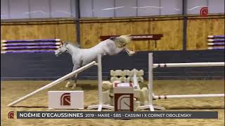NOÉMIE D'ECAUSSINNES