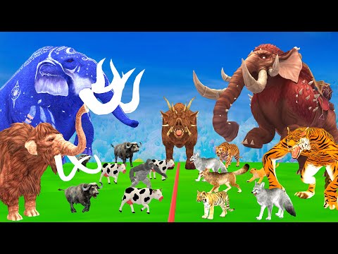 5 Giant Elephant Cow Vs Angry Indian Elephant Vs 5 Giant Tiger Wolf Attack Tiger Cub Buffalo Gorilla