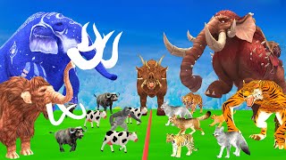 5 Giant Elephant Cow Vs Angry Indian Elephant Vs 5 Giant Tiger Wolf Attack Tiger Cub Buffalo Gorilla