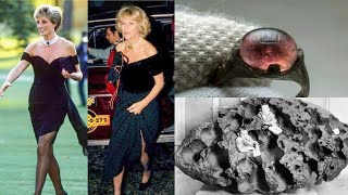 Historic Photographs: [Rare Historical Photos] and story behind them you must see #9