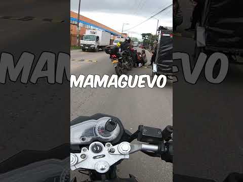 Me gane un MADRAZO en la CALLE GRATIS