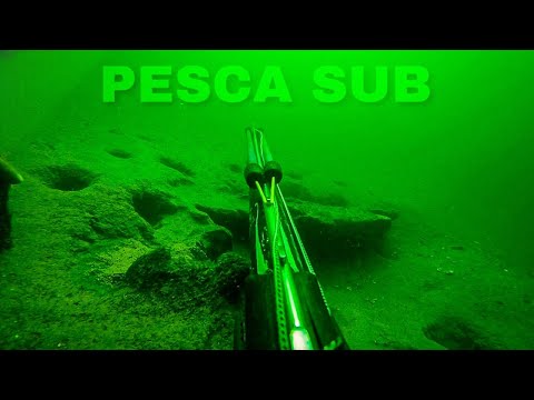 PESCA SUB RIO SÃO FRANCISCO (POVOADO JACARÉ)
